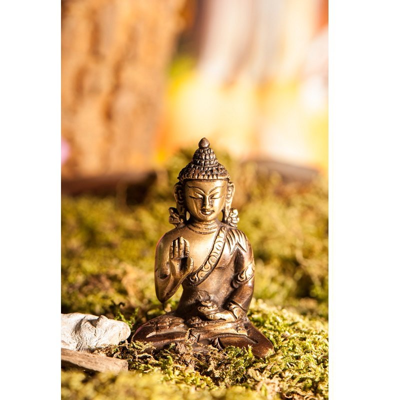 Amoghasiddhi Dhyani boeddha