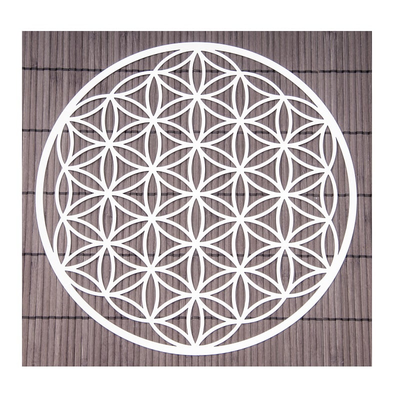 Levensbloem 25 cm wanddecoratie RVS