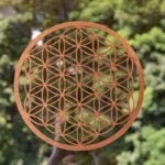 Levensbloem hout donkerbruin 28 cm