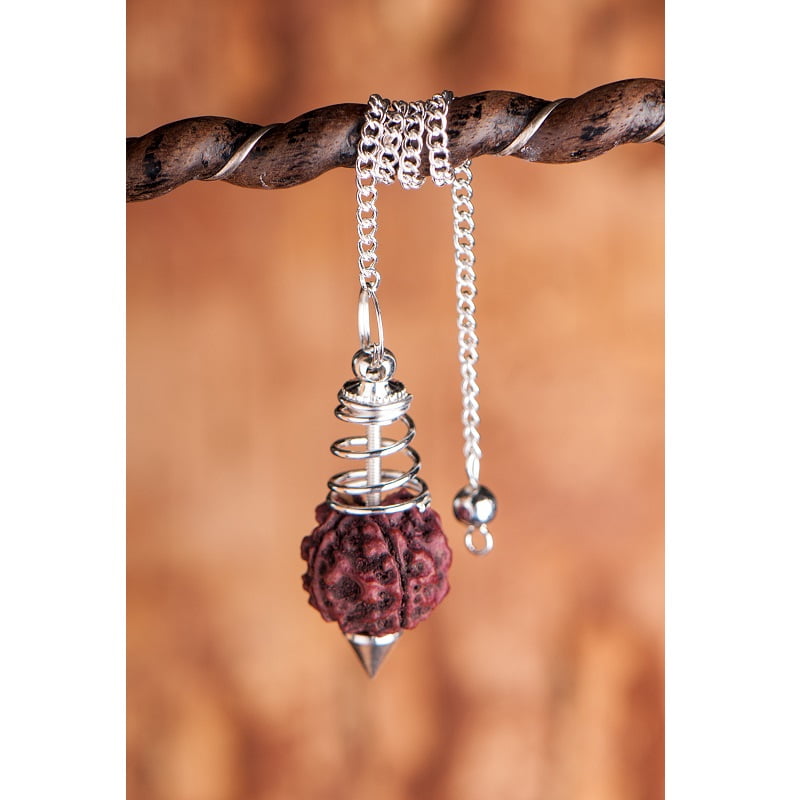 Pendel rudraksha