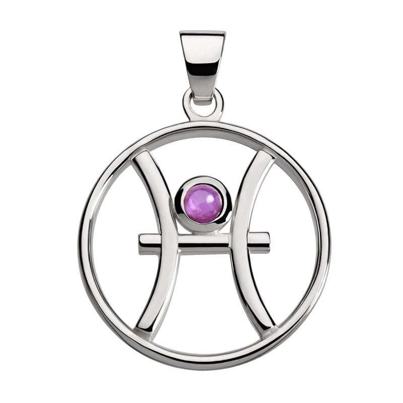 Vissen hanger met amethist