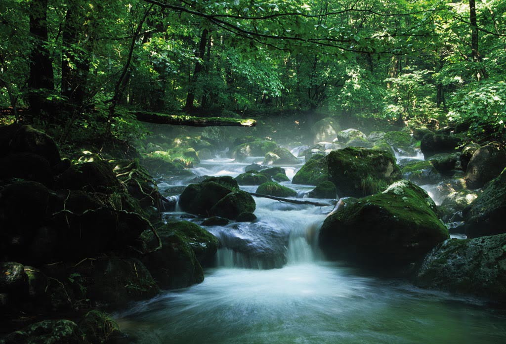Waterval
