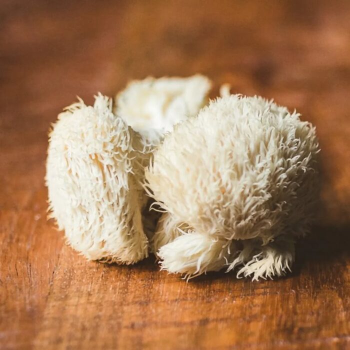 Ceremonial Cacao Original en Lion’s Mane New Flavour