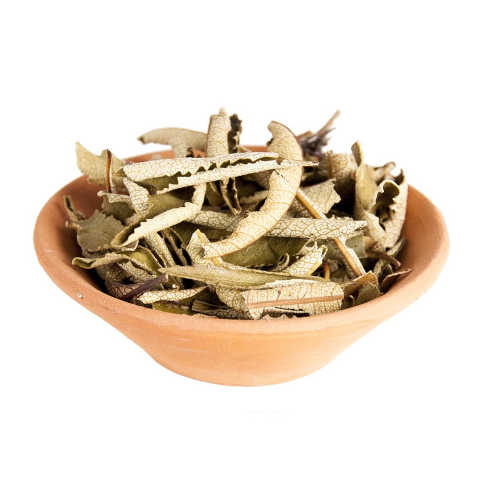Yerba Santa