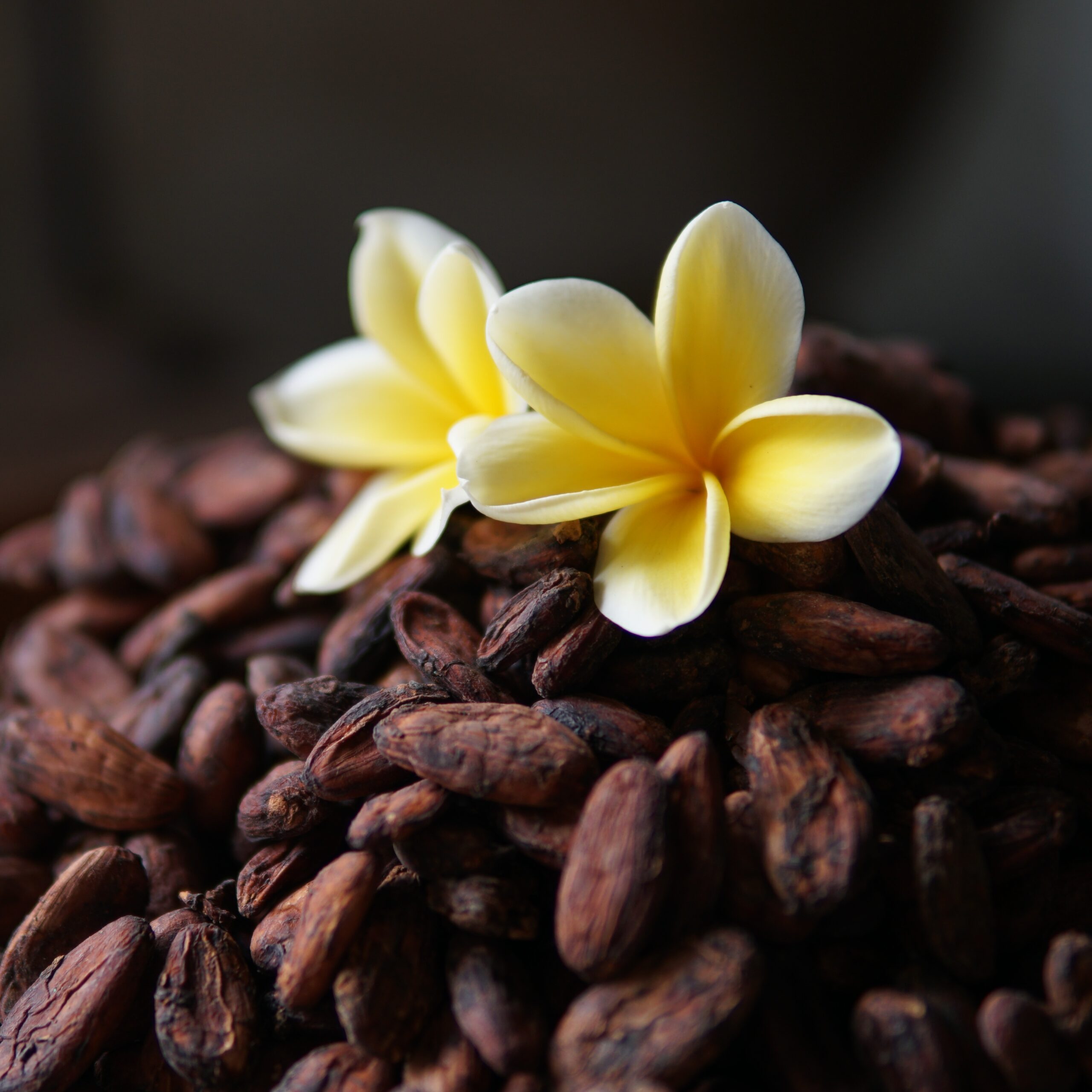 Jungle Delicacy from Bali flowers