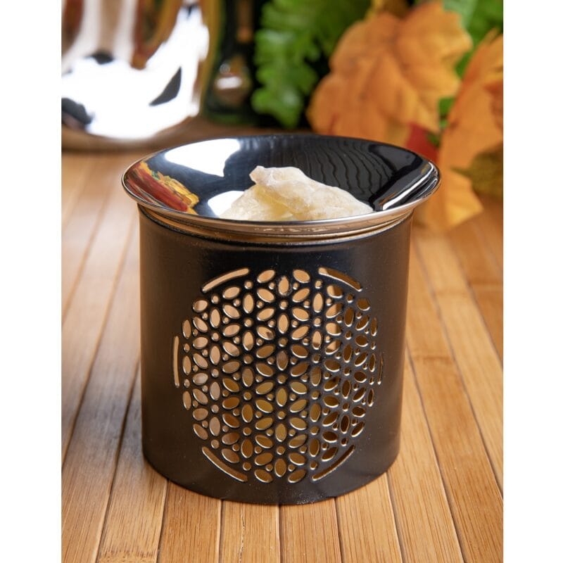 Wierookbrander met zeef Levensbloem RVS