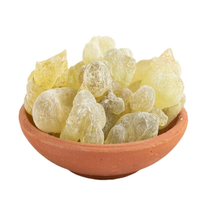 Wierookhars Groene Hojari Oman