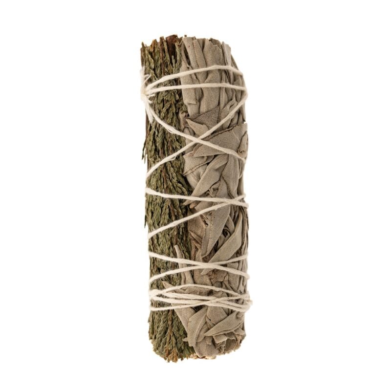 Witte salie Ceder Smudge mini