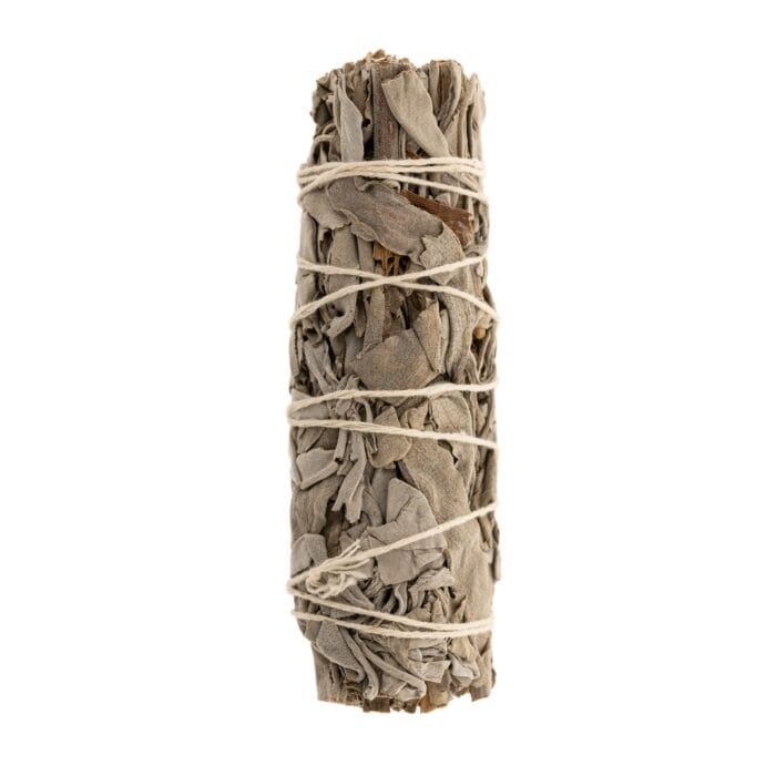 Witte salie Smudge mini Witte salie Smudge mini