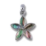 Hanger Bloem met paua schelp