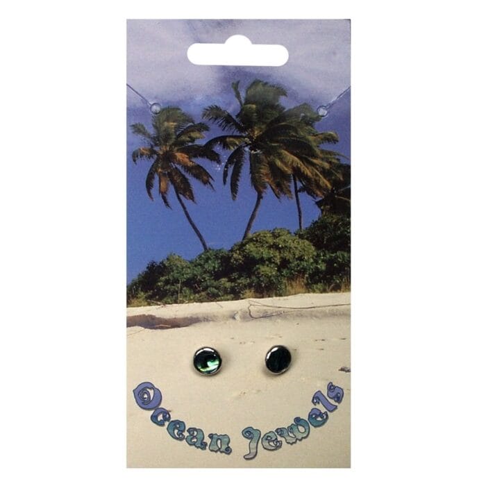 Oorbellen rond met paua schelp