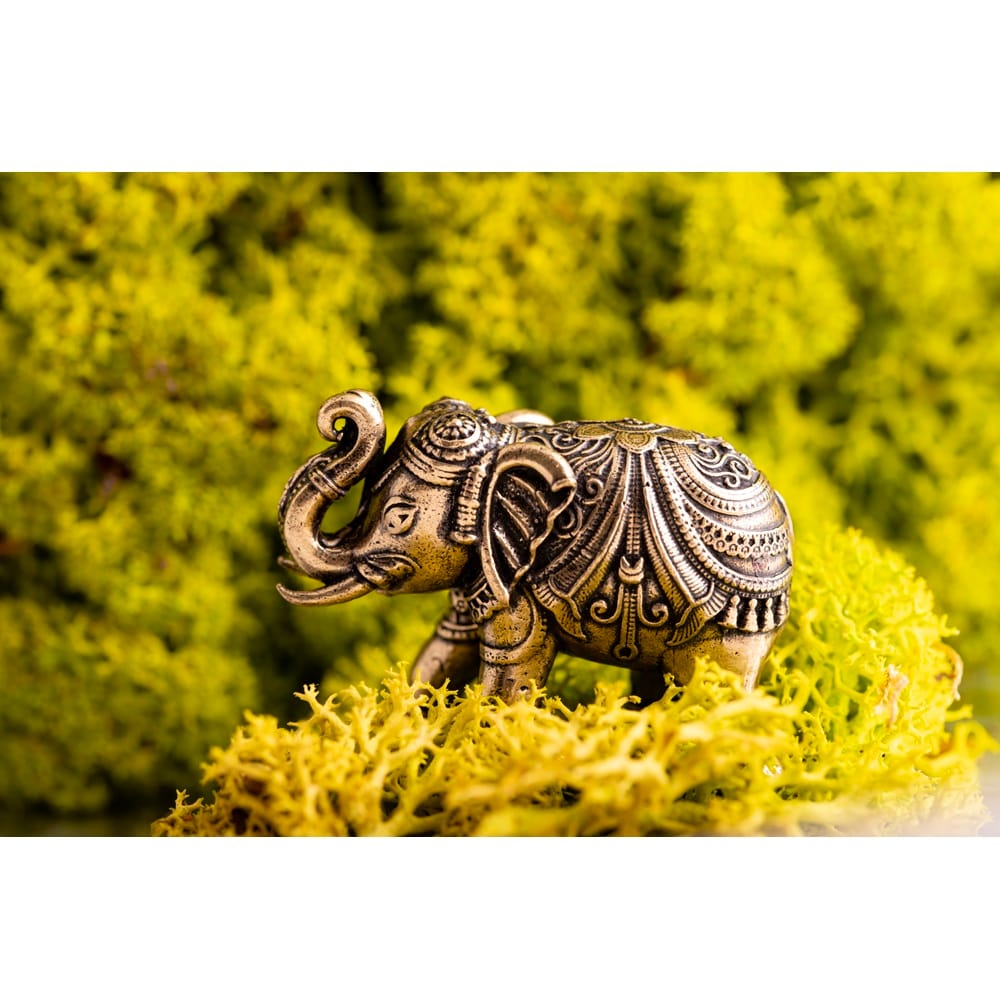 Geluk olifant Geluk olifant