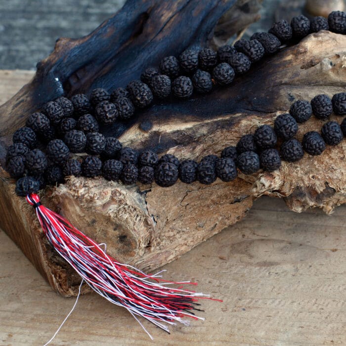 Rudraksha Mala Donker - 108 kralen - Afbeelding 4